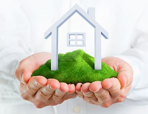 Portfolio Image
